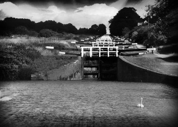 Met een vertaling bereik je je anderstalige doelpubliek beter en sneller