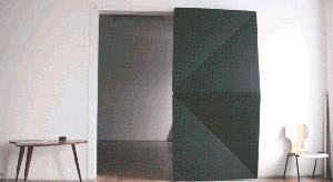 Klemens Torggler's Evolution Door