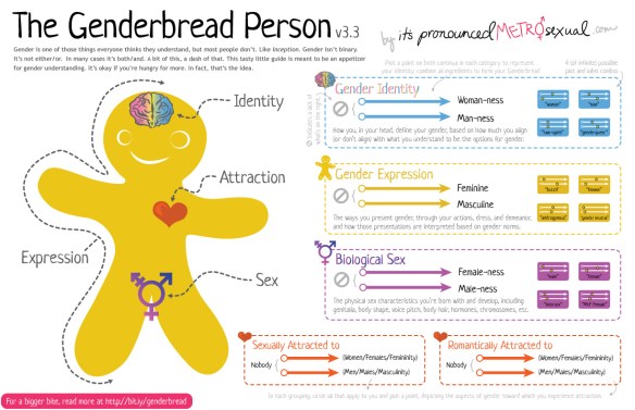 The Genderbread Person (versie 3.3)
