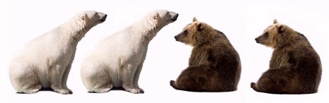 Regels voor weglatingsstreepjes in samenstellingen