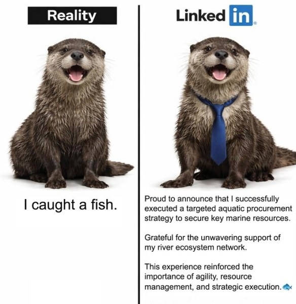 Reality vs. LinkedIn